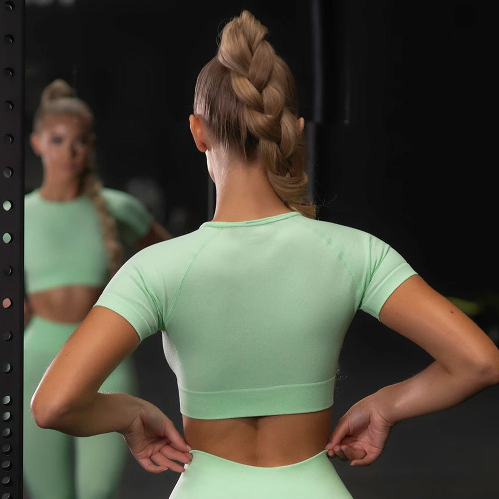 Seamless Yoga Sport Set Fitness Women Leggings Short Sleeve Tops