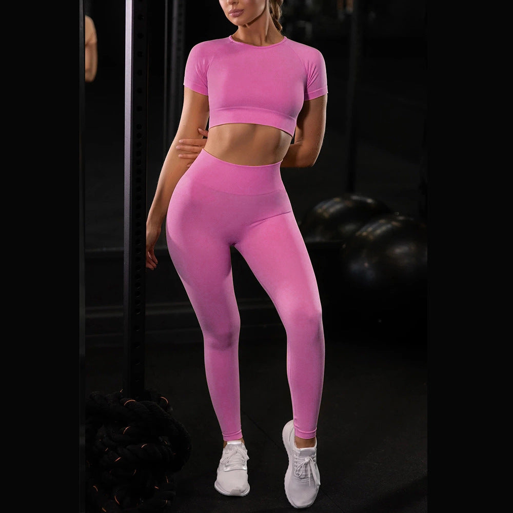 Seamless Yoga Sport Set Fitness Women Leggings Short Sleeve Tops