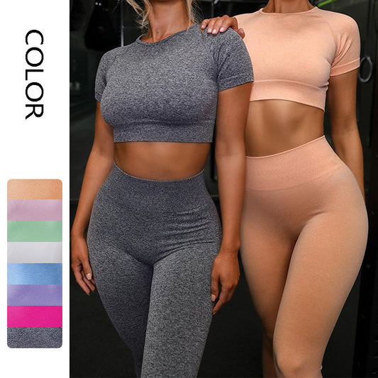 Seamless Yoga Sport Set Fitness Women Leggings Short Sleeve Tops