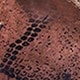https://img.ltwebstatic.com/images3_pi/2025/03/10/22/1741584219d51b1eb7f9784ffb68f9802d88a85a82.jpg