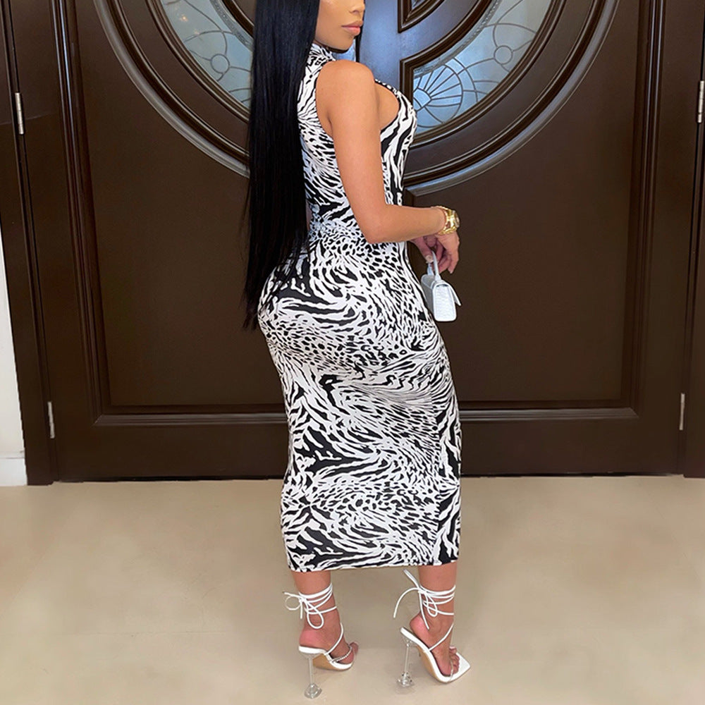 Bodycon Printed Lace-up Cutout dress